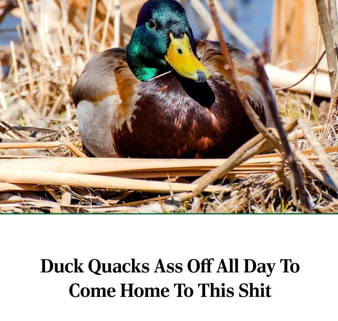 How we feeling folks?