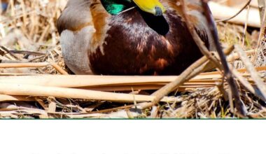 How we feeling folks?