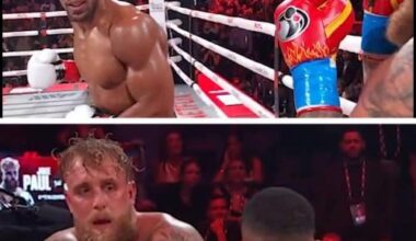 A good summary to date