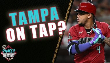 What Moves Could Be Next In Rays Offseason?