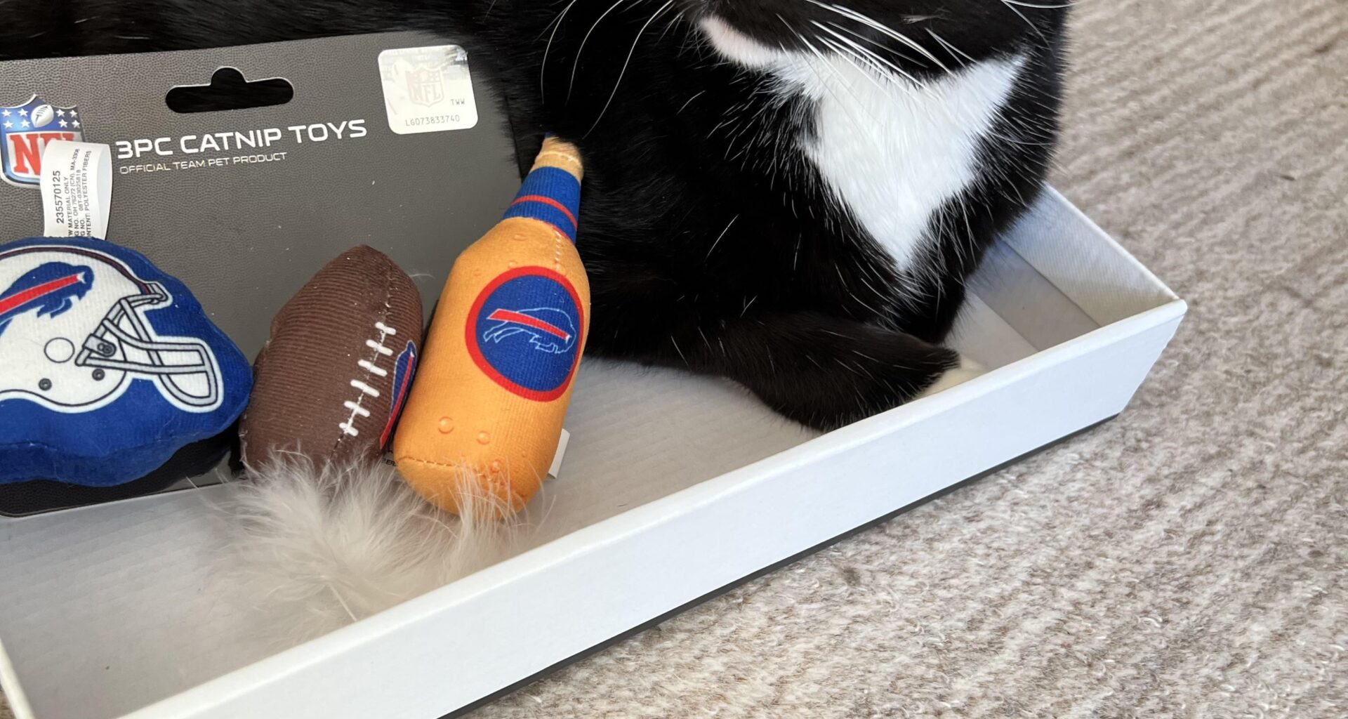 Kitty is a Bill’s fan! Is the toy a bottle of beer or hot sauce?