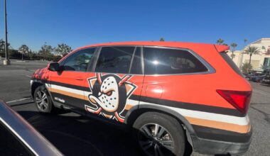 Ducks car Ducks car