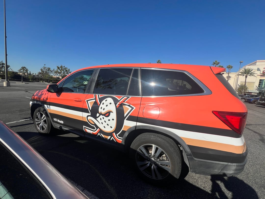 Ducks car Ducks car