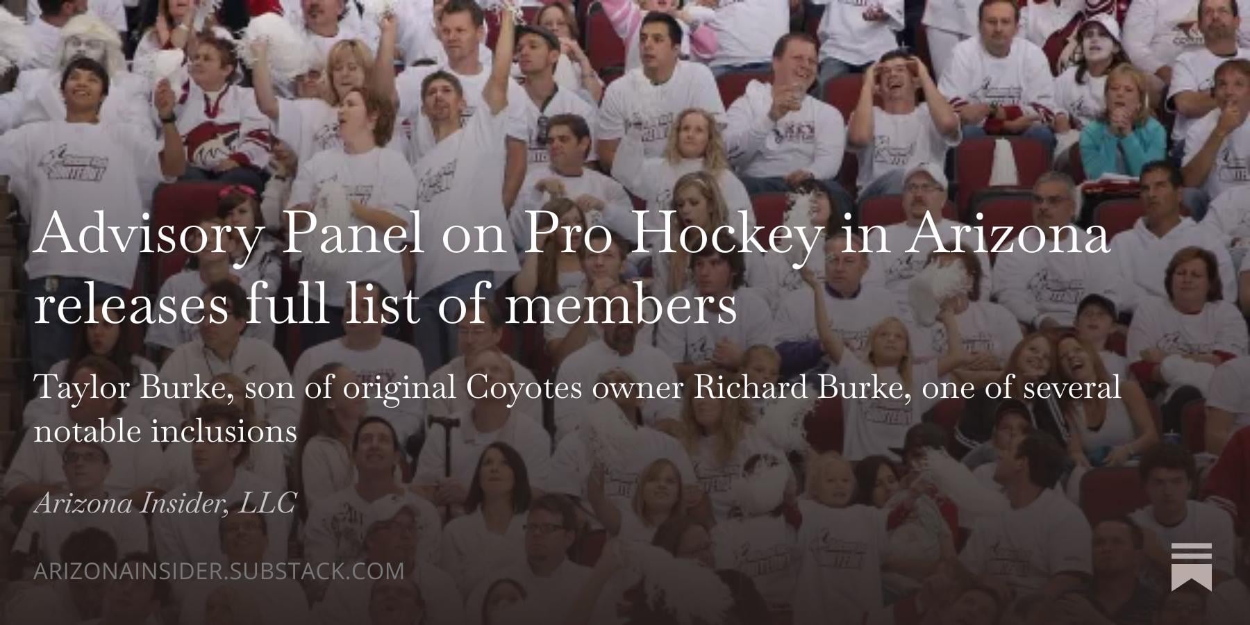 [Morgan] Advisory Panel on Pro Hockey in Arizona releases full list of members