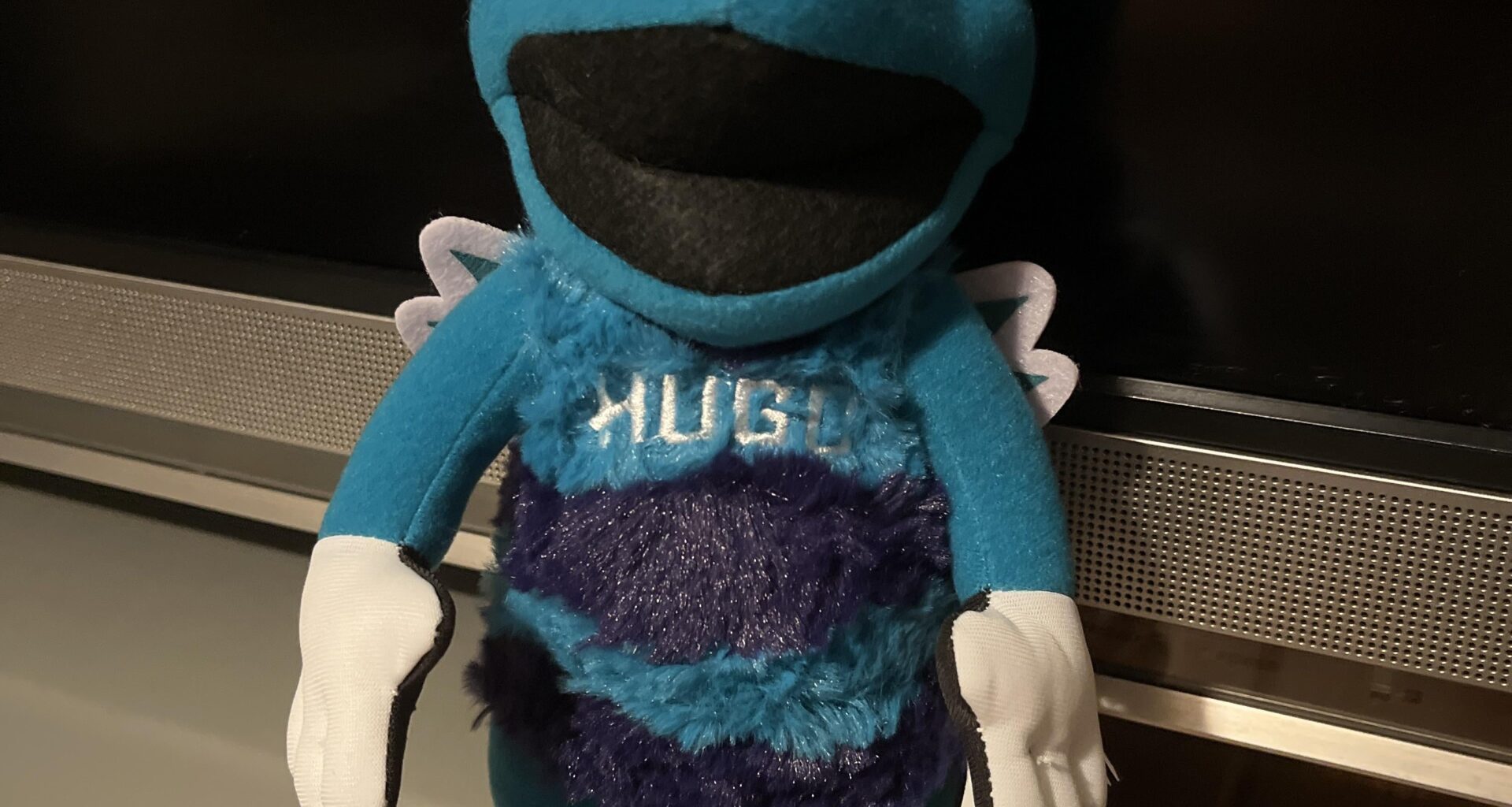 Parents got me this for Christmas yesterday and The Hornets just won their first game since then, coincidence?