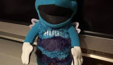 Parents got me this for Christmas yesterday and The Hornets just won their first game since then, coincidence?