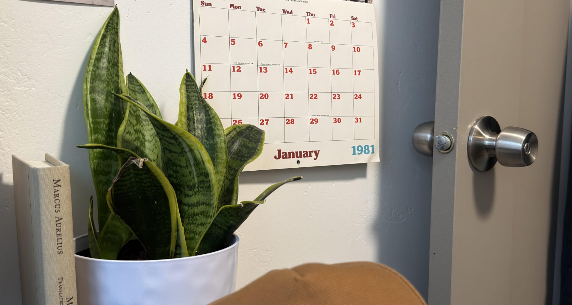 christmas gift of the year