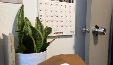 christmas gift of the year