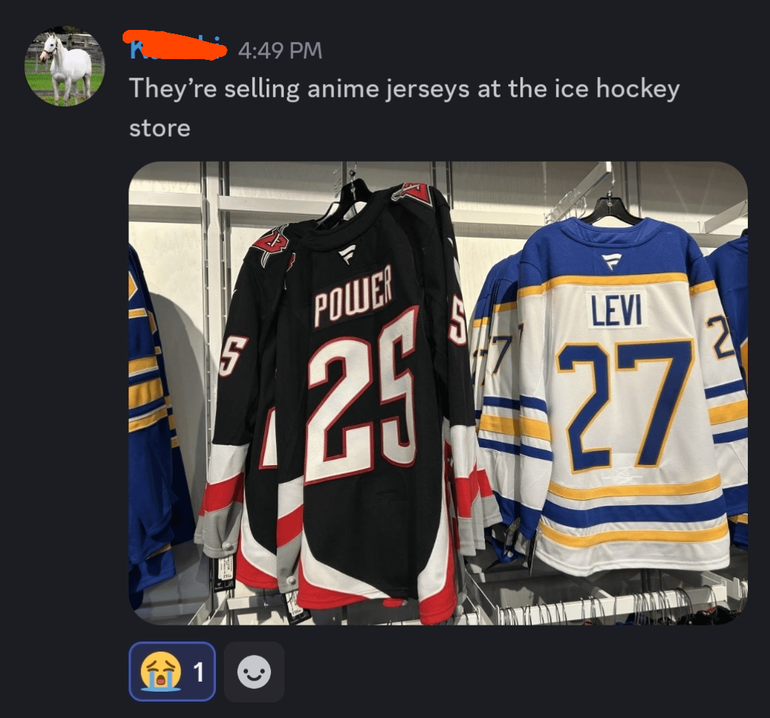 my friend was at a Sabres game, he's not very knowledgeable