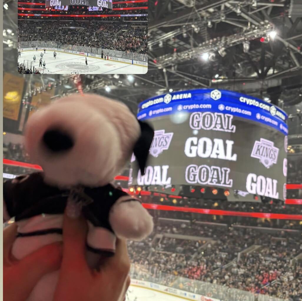 Snoopy is having fun!