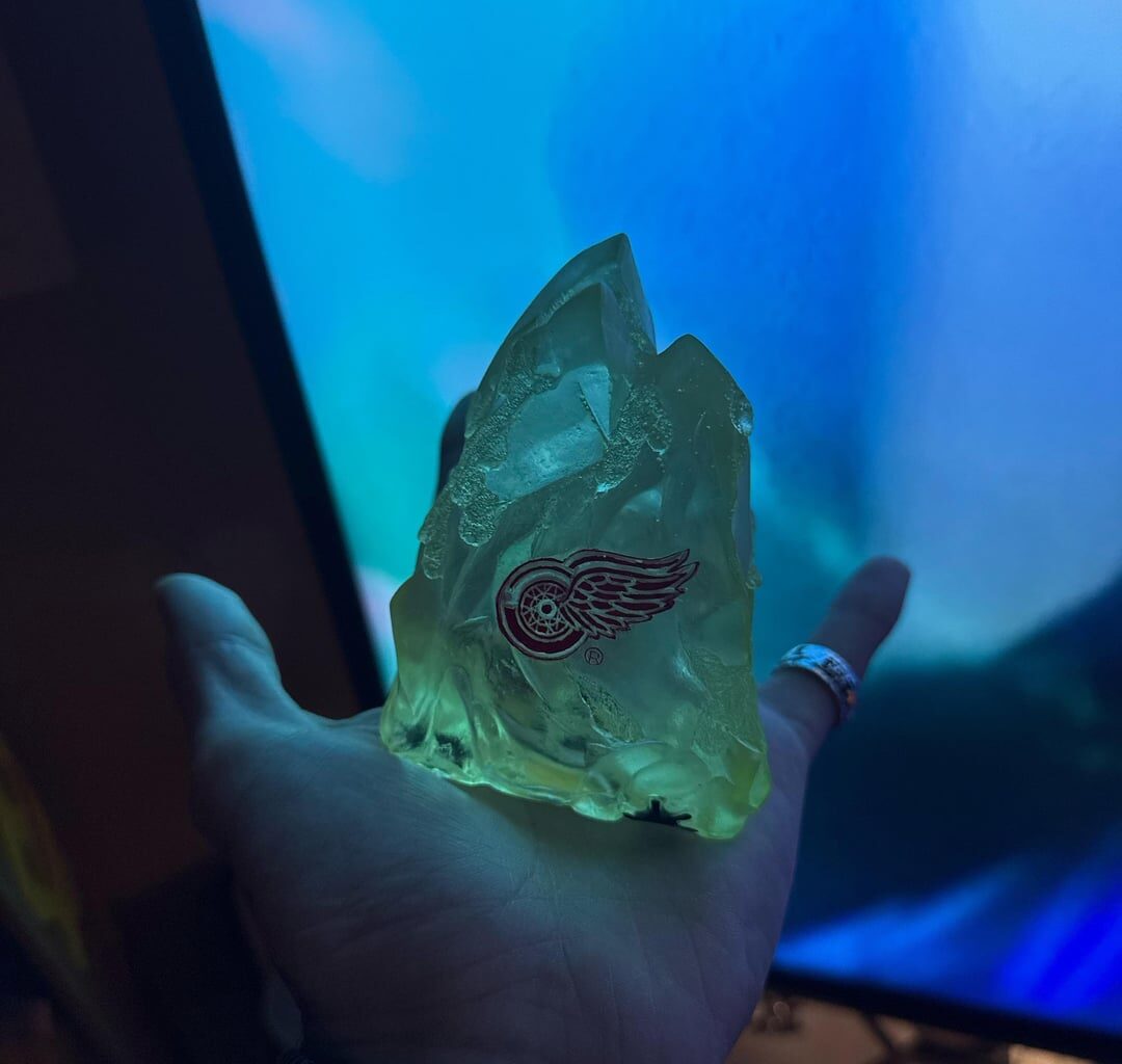 F**k the avalanche ‼️🤣