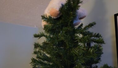 Oh Llama tree, oh Llama tree