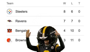 Ladies and Gentlemen... your Pittsburgh Steelers are once again atop the AFC North