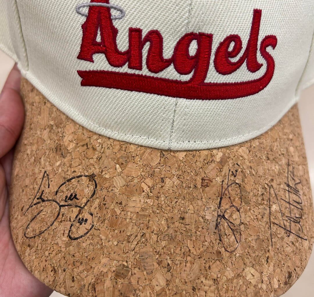 Got this cool hat. Anyone know if these signatures are from any players?