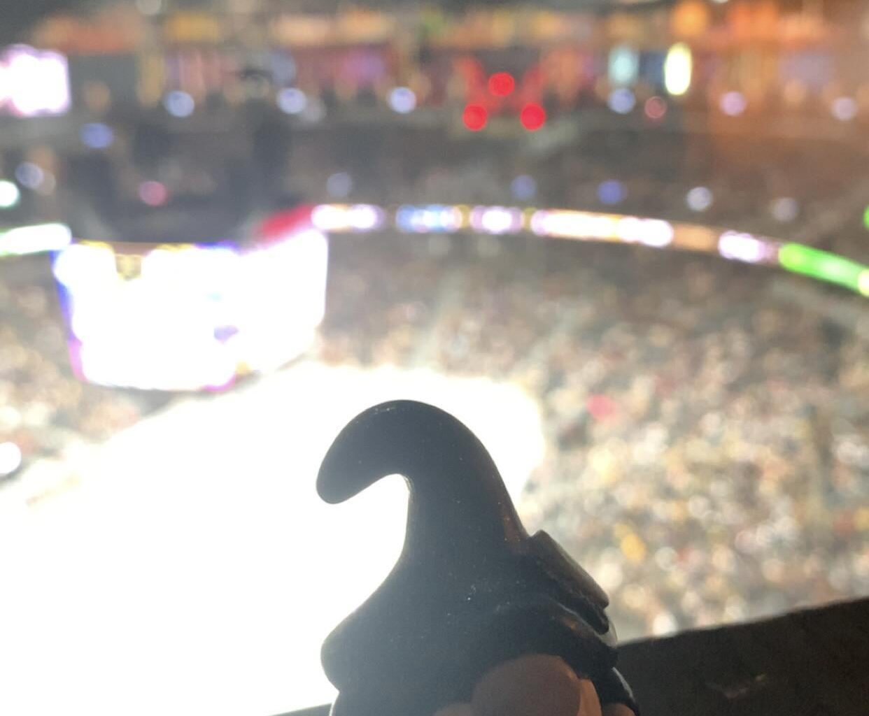 From mushroom rings to the hockey rink: a gnome's maiden voyage