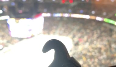 From mushroom rings to the hockey rink: a gnome's maiden voyage