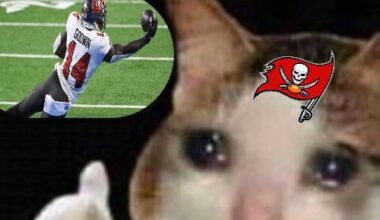 Good to see the old Godwin back, making plays, Go Bucs!