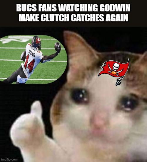 Good to see the old Godwin back, making plays, Go Bucs!