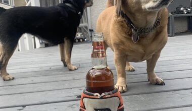 They judge me for drinking after second straight SOL