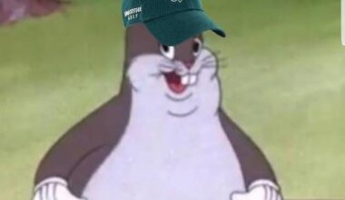 We are so back. 🦅