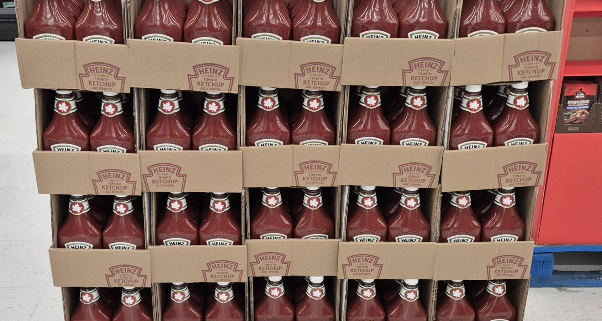 Can we get a petition going to use this as our goalie next time we play mcdavid?