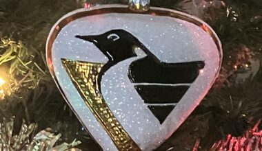 May Your Days Be Merry and Bright, Pens Fans