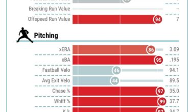 Devin Williams’. 2025 MLB Percentile Rankings