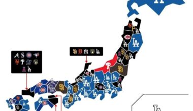There are royals fans in Japan