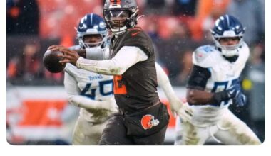 Sheduer is the starter for the rest of they year HC stefanski announces.