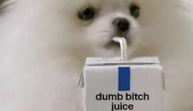 MFW i let myself start to feel hopeful about the tits