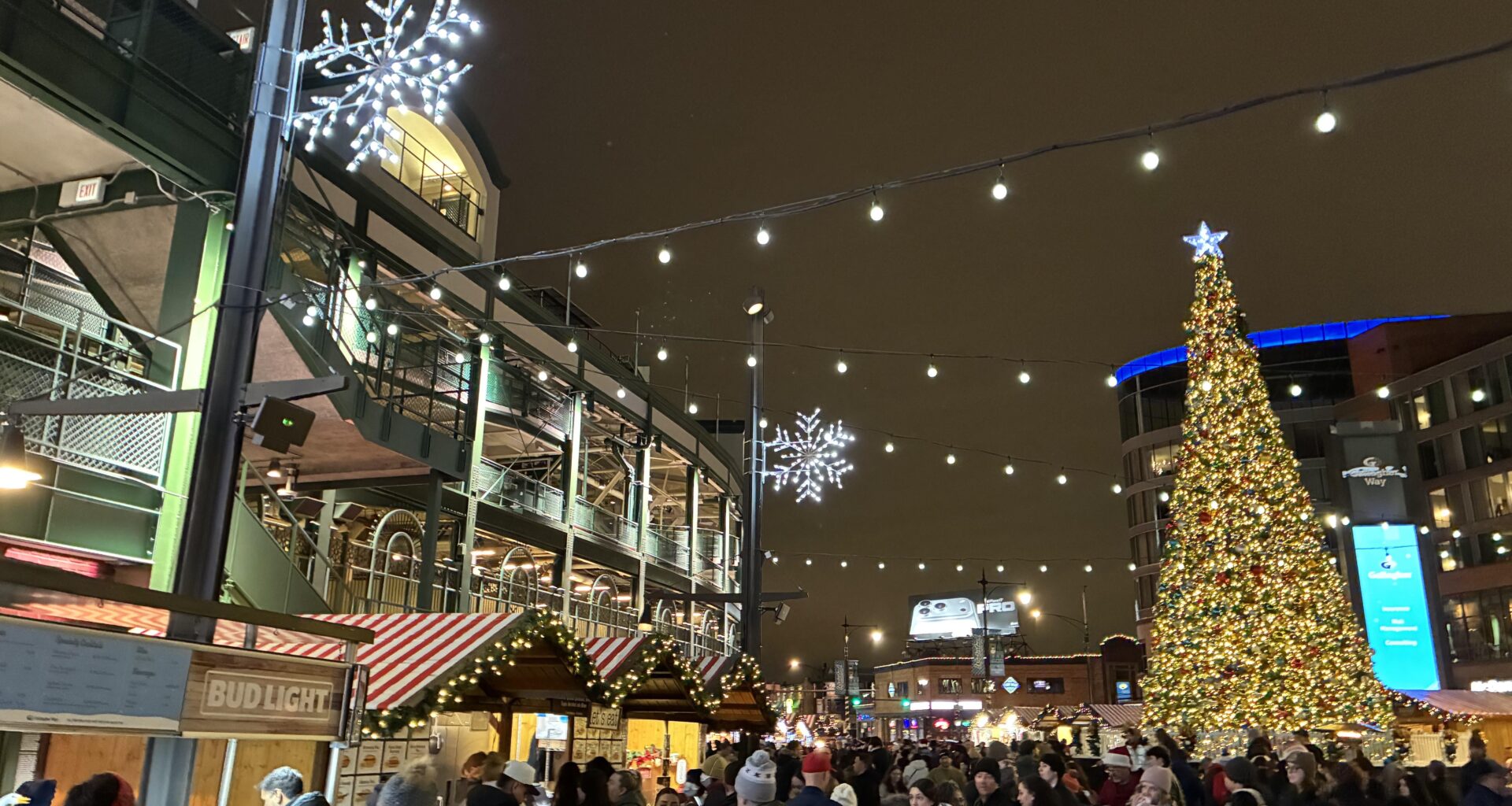 Go cubs go and 🐻👇