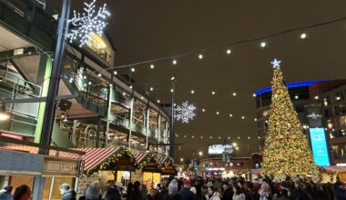 Go cubs go and 🐻👇