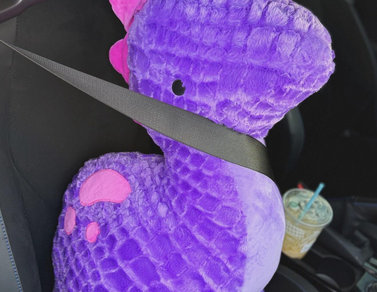 Stuffy secured for my first eagles game. Any tips for the first time? I hear they have donuts at the arena!