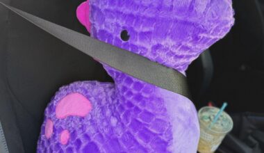 Stuffy secured for my first eagles game. Any tips for the first time? I hear they have donuts at the arena!