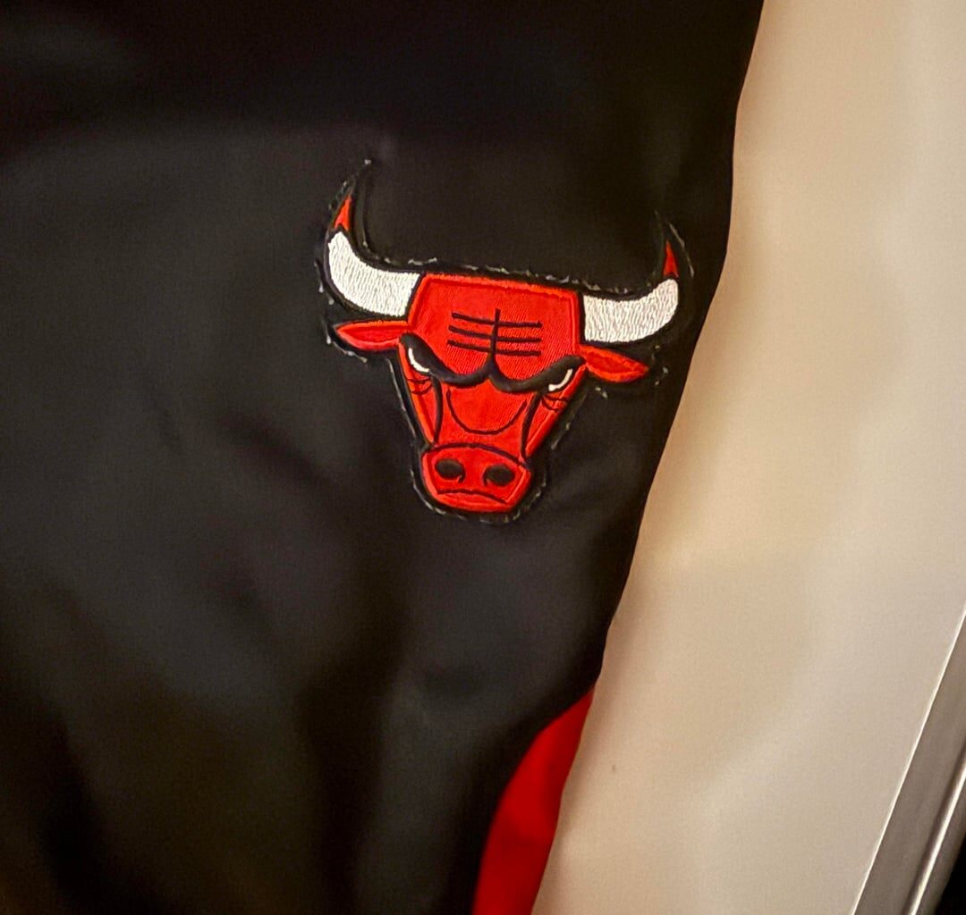 What season did the Bulls have these warm-up pants?