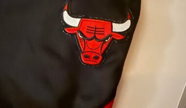 What season did the Bulls have these warm-up pants?