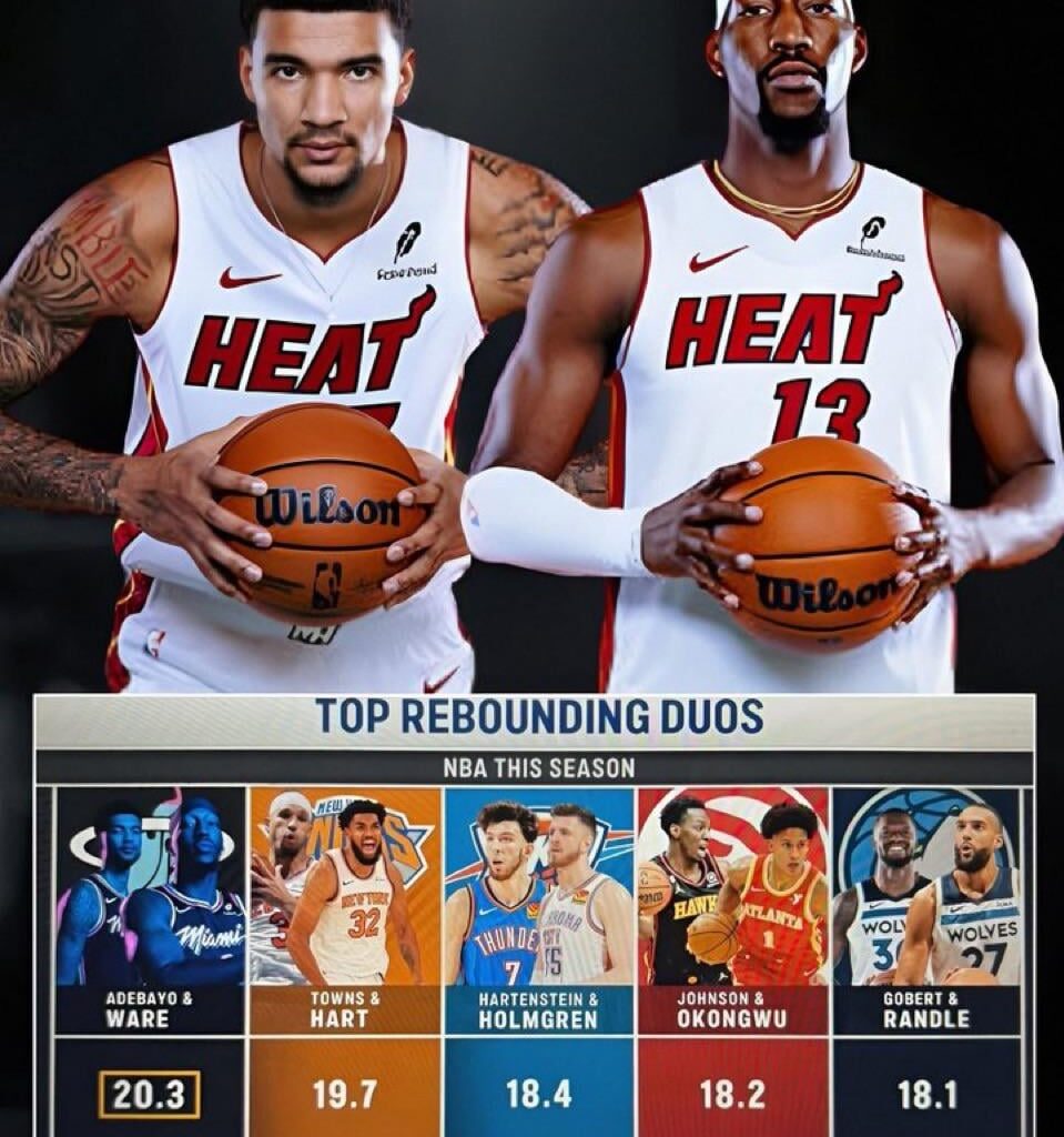 Bam and Ware are the top rebounding duo in the entire NBA