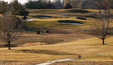 Golf cottage plan too much of a swing, some residents say