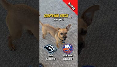 Cujo’s NHL Fetch | Utah Mammoth vs New York Islanders 🐕 01-01-2026 NHL Hockey