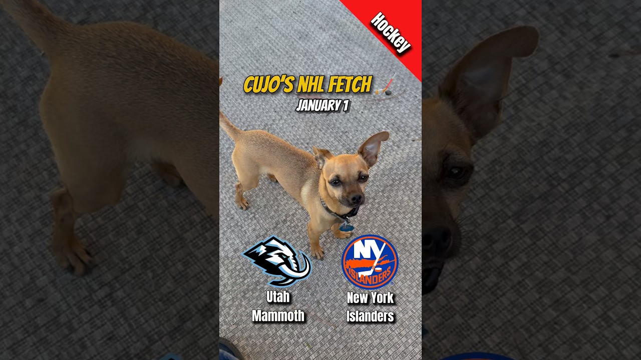 Cujo’s NHL Fetch | Utah Mammoth vs New York Islanders 🐕 01-01-2026 NHL Hockey
