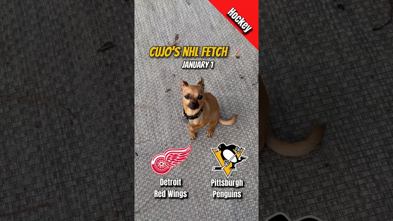 Cujo’s NHL Fetch | Detroit Red Wings vs Pittsburgh Penguins 🐕 01-01-2026 NHL Hockey