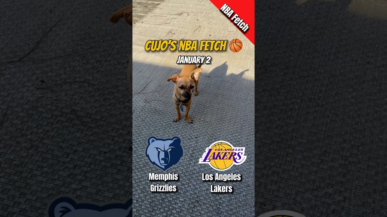Cujo’s NBA Fetch | Memphis Grizzlies vs Los Angeles Lakers 🐕 NBA Basketball Jan 2