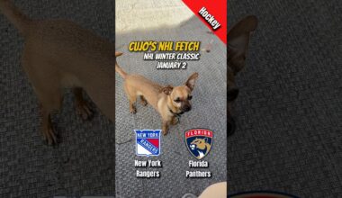 Cujo’s NHL Fetch | New York Rangers vs Florida Panthers 🐕 2026 Winter Classic