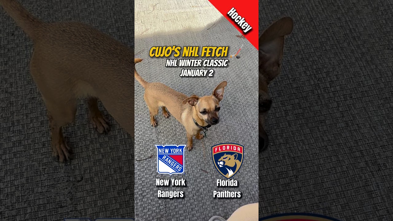 Cujo’s NHL Fetch | New York Rangers vs Florida Panthers 🐕 2026 Winter Classic