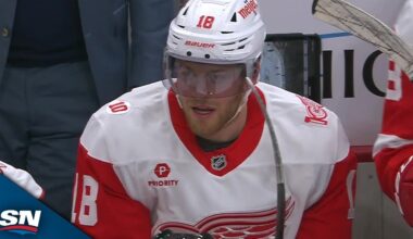 Red Wings' Andrew Copp Gifted Easy Goal After Wild Bounce Off The Glass