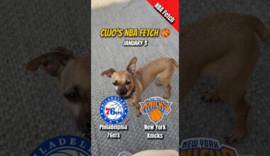 Cujo’s NBA Fetch | Philadelphia 76ers vs New York Knicks 🐕 01-03-2026 NBA Basketball
