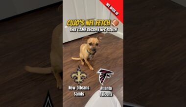 Cujo’s NFL Fetch | Saints @ Falcons 🐕 01-04-2026 NFL Football