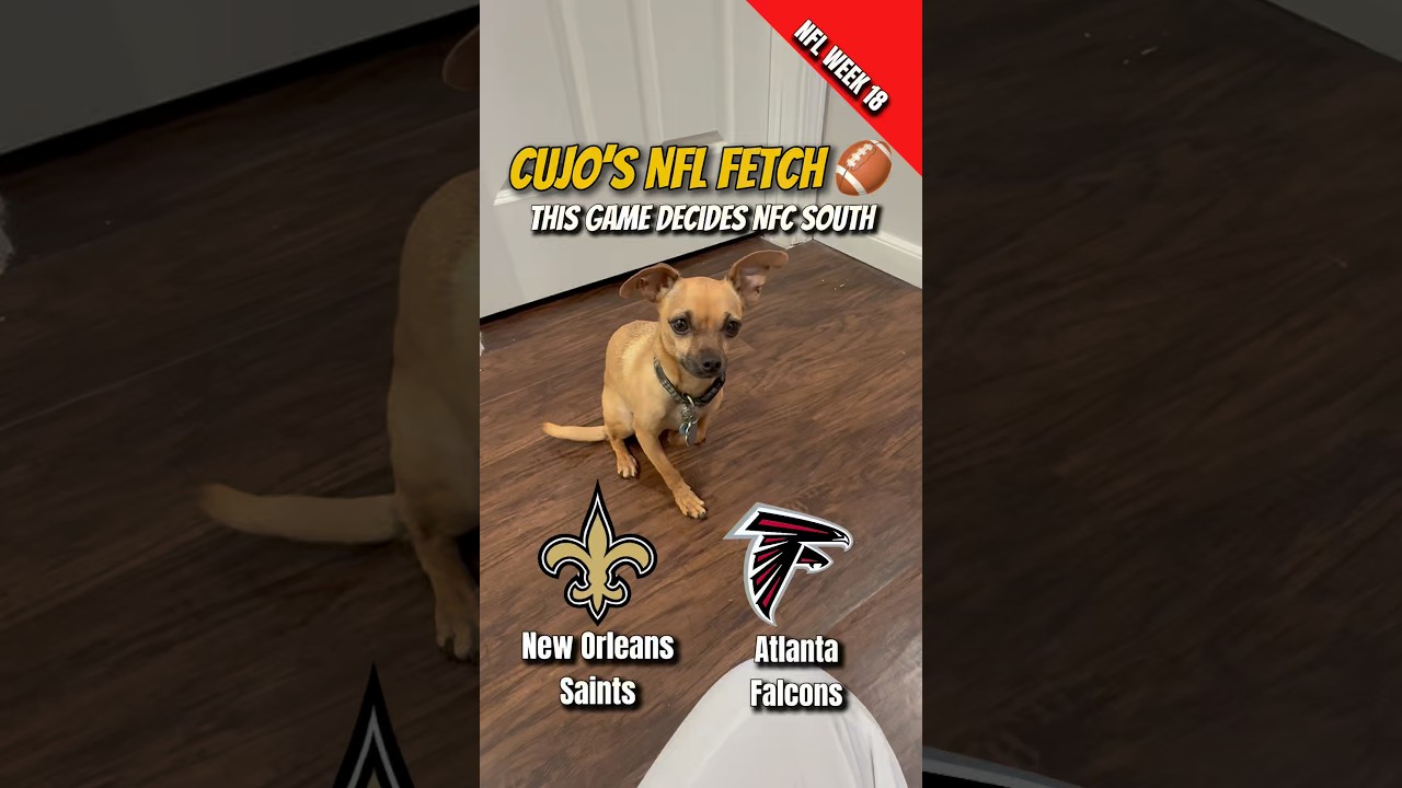 Cujo’s NFL Fetch | Saints @ Falcons 🐕 01-04-2026 NFL Football