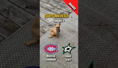 Cujo’s NHL Fetch | Canadiens @ Stars 🐕 01-04-2026 NHL Hockey