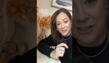 Momentum Push | DEVILS DOWNLOAD